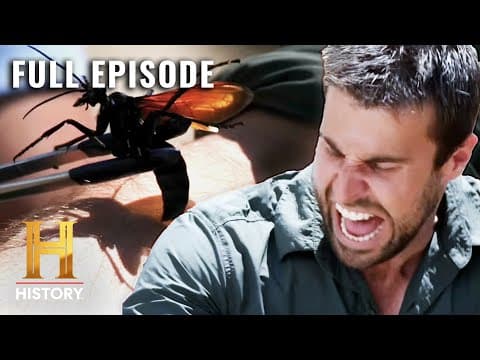 Kings of Pain: Exploring the Most Painful Animal Stings