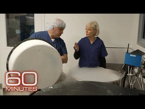The Ultimate Guide to Egg Freezing: Understanding the Process and Costs