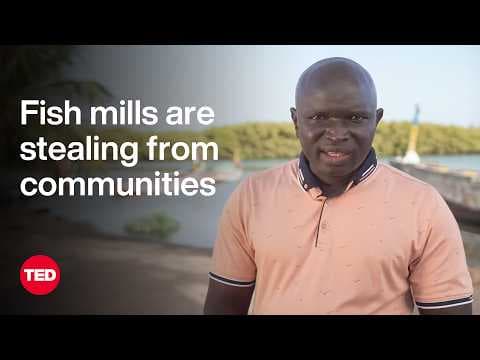The Impact of Industrial Fishing on Communities in The Gambia