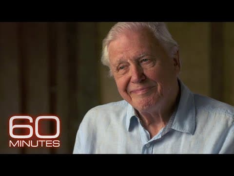 Sir David Attenborough: Insights from the 60 Minutes Archive