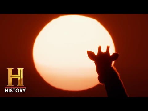 ALONE Africa: Extended Sneak Peek of Season 9